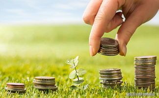 養(yǎng)老保險(xiǎn)高基數(shù)繳費(fèi)的真相 投入多五倍，領(lǐng)取卻非五倍